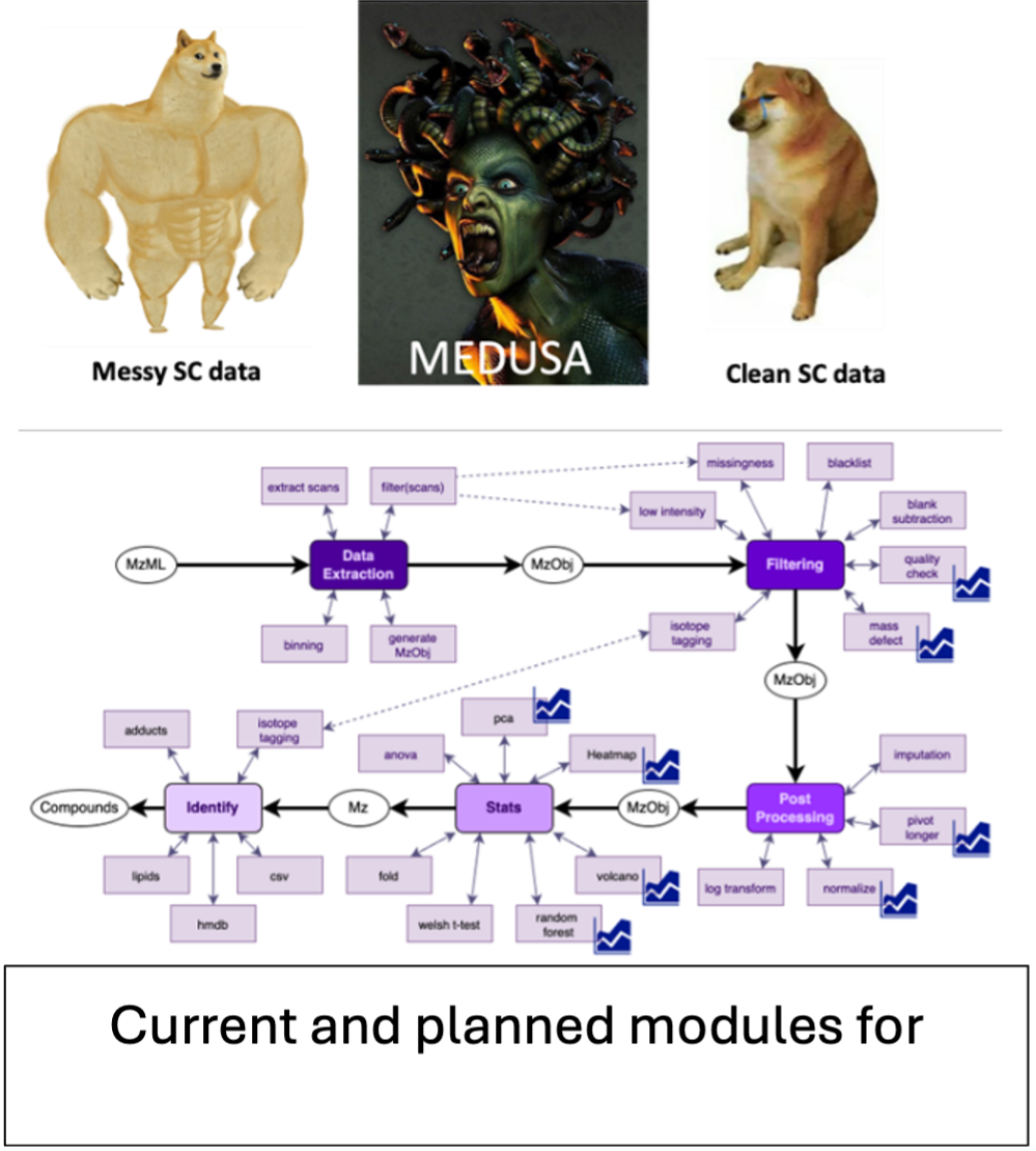 Taming your datasets with MeDUSA project illustration